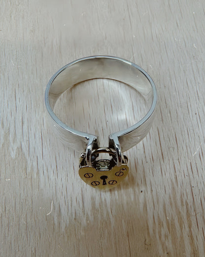 The Lock Ring